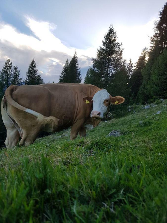 Ferienwohnung Am Bauernhof Zechner Heidi Flattach Exteriér fotografie